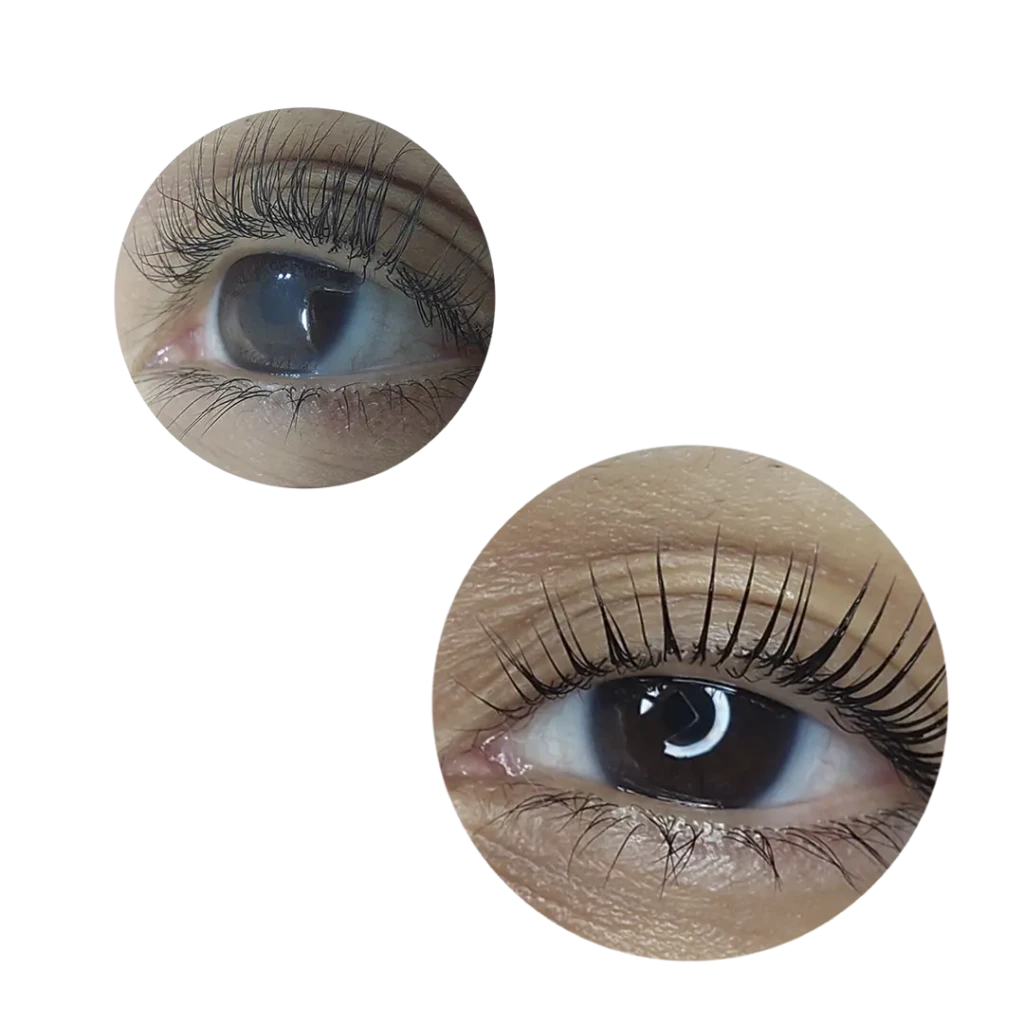 Reversion_pestaás_portada